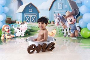 Farm-themed first birthday photo setup with rustic barn backdrop, chocolate ONE lettering, and cute animal decorations.