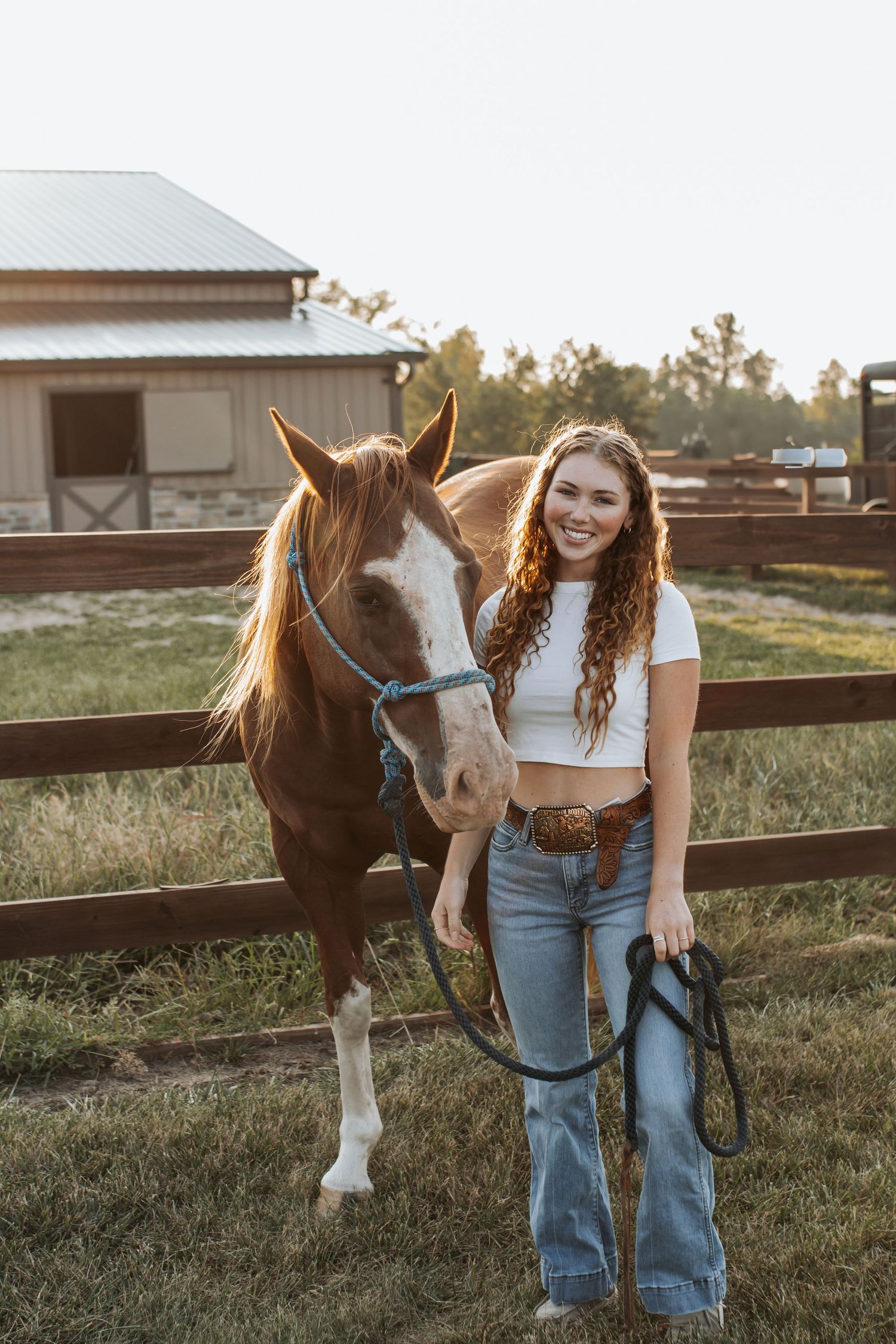 equestrian photography
