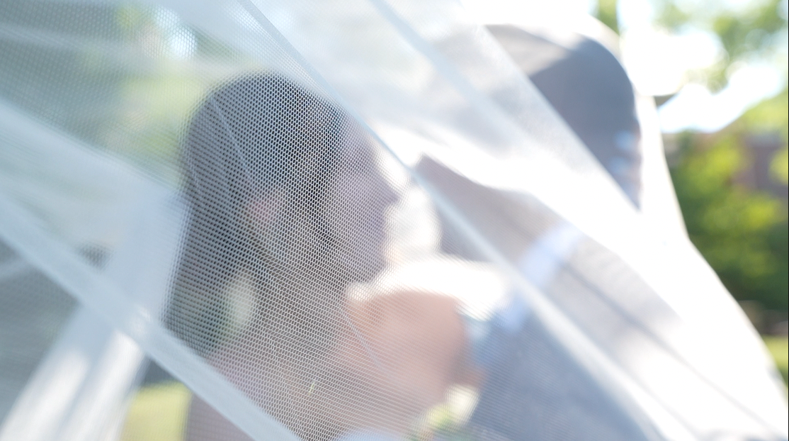 Romantic soft-focus photo of bride and groom kissing beneath a sheer wedding veil outdoors.