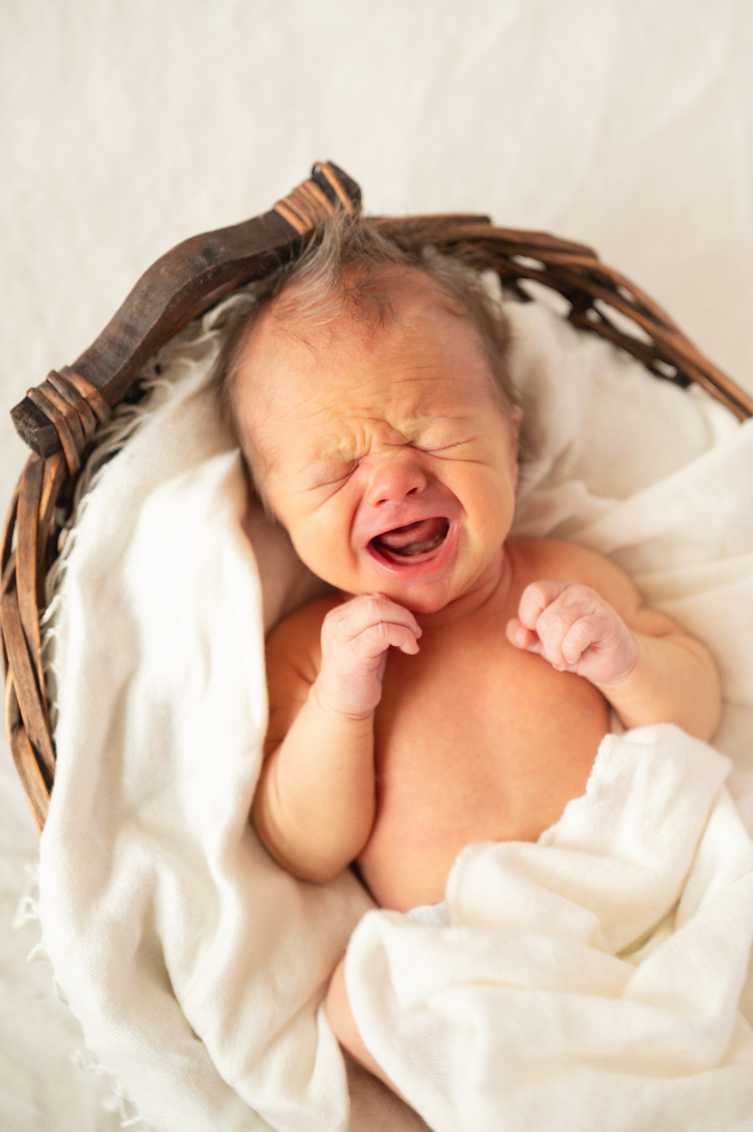 Individual newborn boy portraits in natural light studio by Bartlesville photographer Kristi Bray Photography