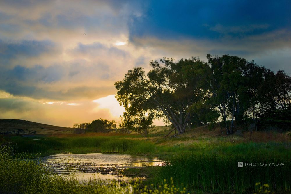 Don Edwards National Wildlife Refuge