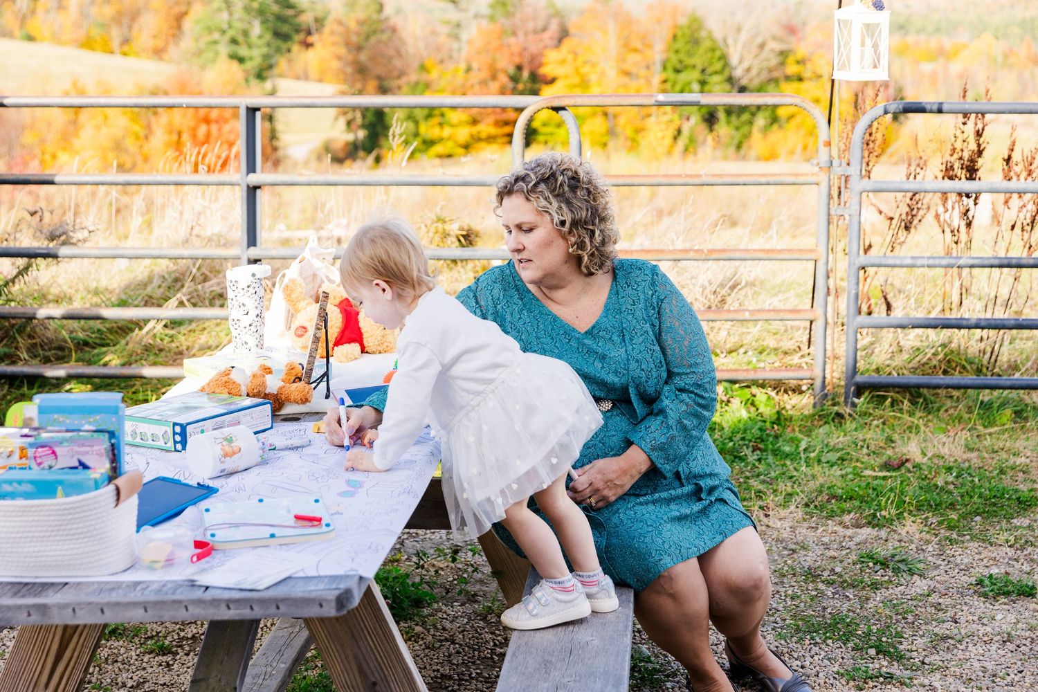 Outdoor picnic scene with table setup and autumn scenery in background.