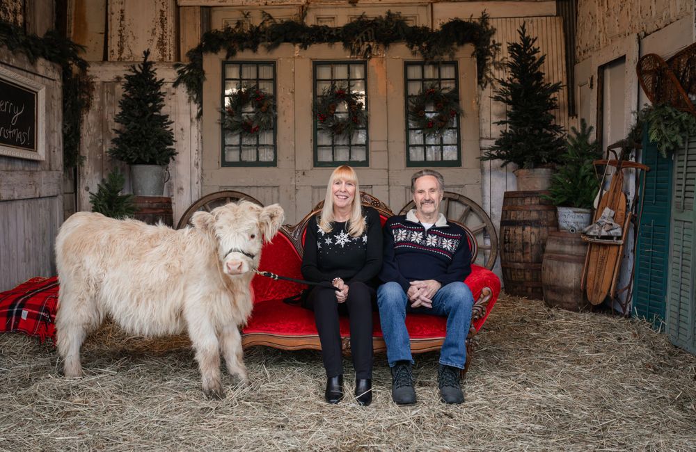 Christmas session at Sharp Farm