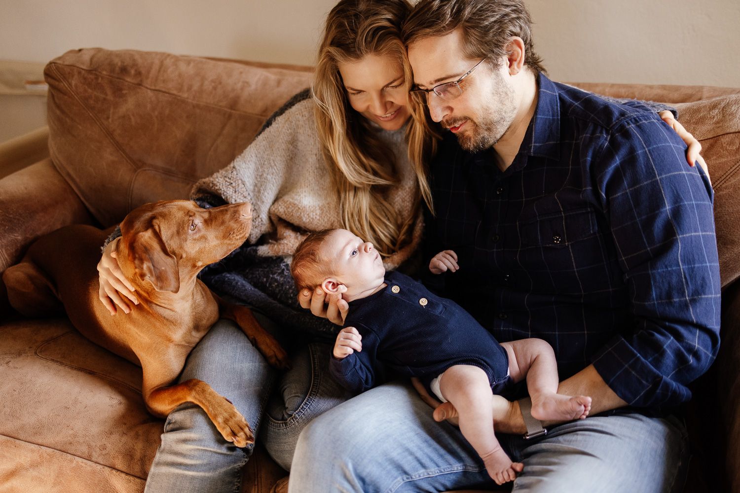 Family cuddles their dog and baby on their couch at Bay Area in-home photoshoot