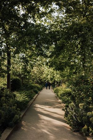 Passage arboré de la Coulée verte à Paris, lumière douce en fin de journée.