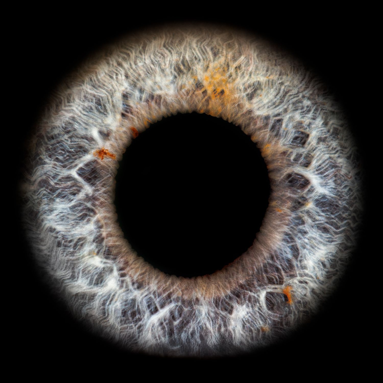 Extreme close-up macro photograph showing detailed texture of a grey and honey-colored human iris.