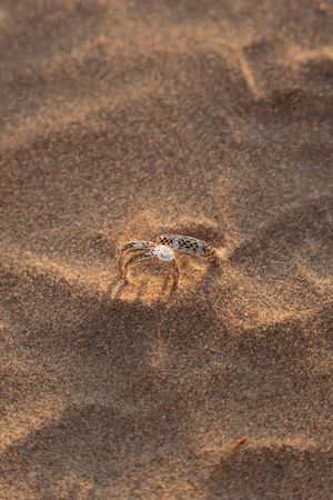 Engagement ring casts subtle shadow patterns on brown sandy beach.