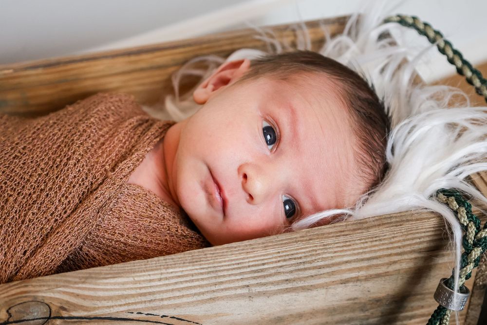 Newborn photography with soft brown knit wrap against white background.