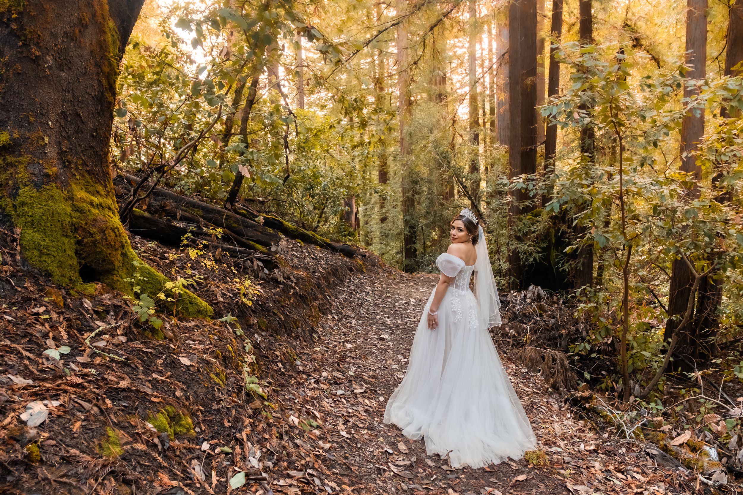 Bride during a post wedding photo shoot in the redwoods.