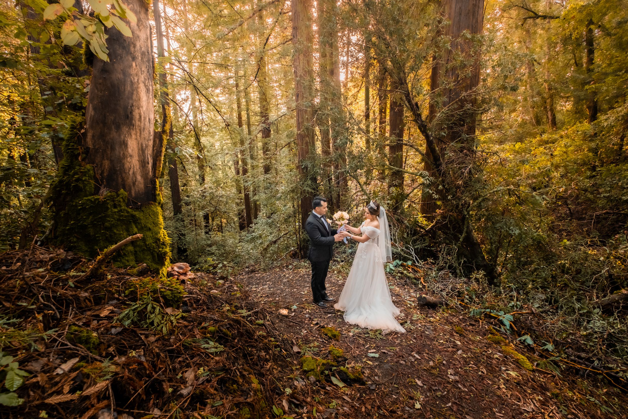 Couple during a post wedding photo shoot in the redwoods.