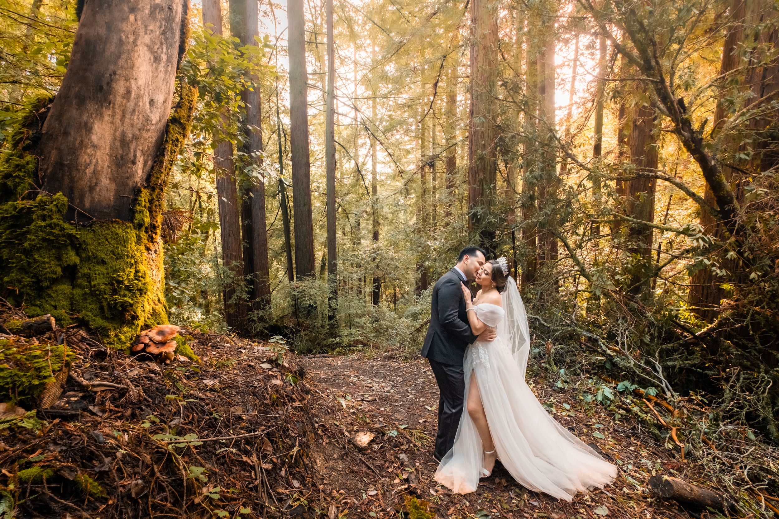 Couple during a post wedding photo shoot in the redwoods.