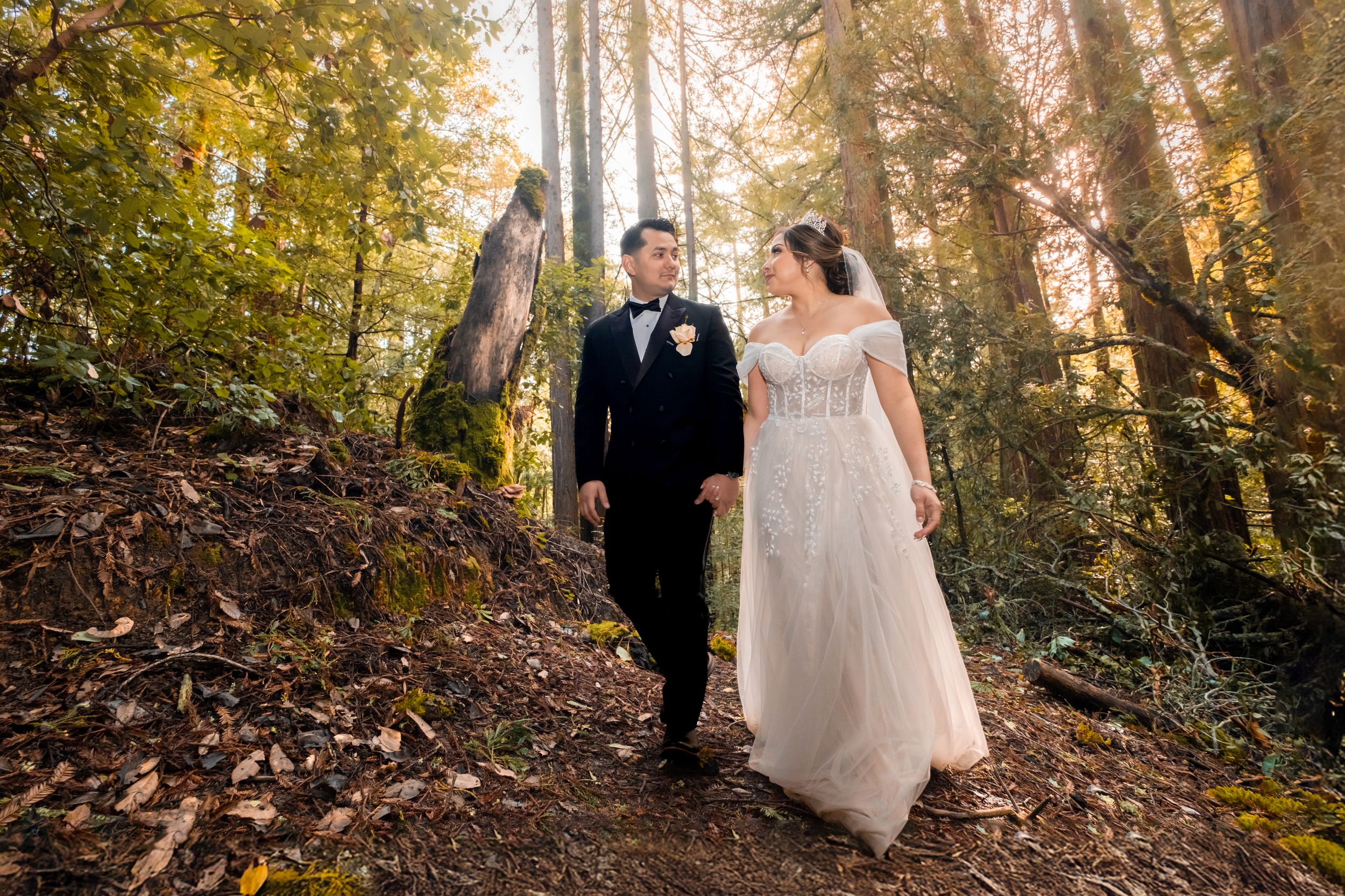 Couple during a post wedding photo shoot in the redwoods.