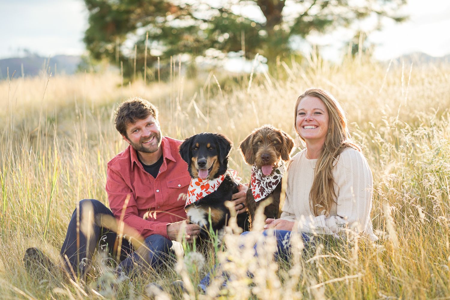 Happy couple sitting in tall grass with their two dogs during outdoor photoshoot.