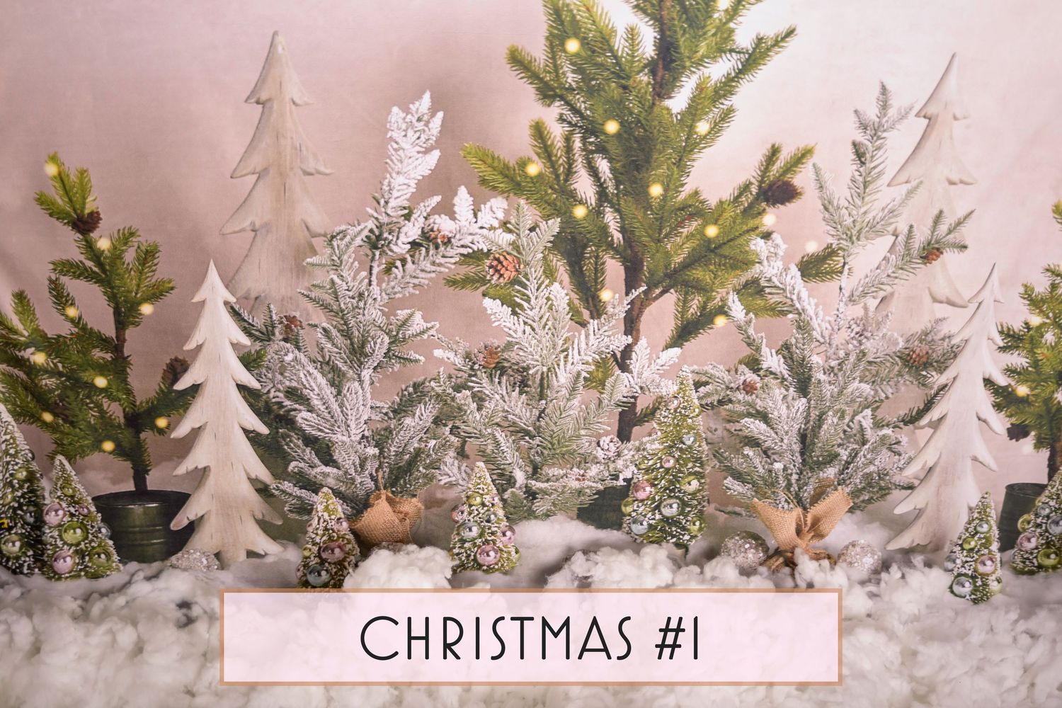 Christmas Trees Theme - Bear and Bunny Photography