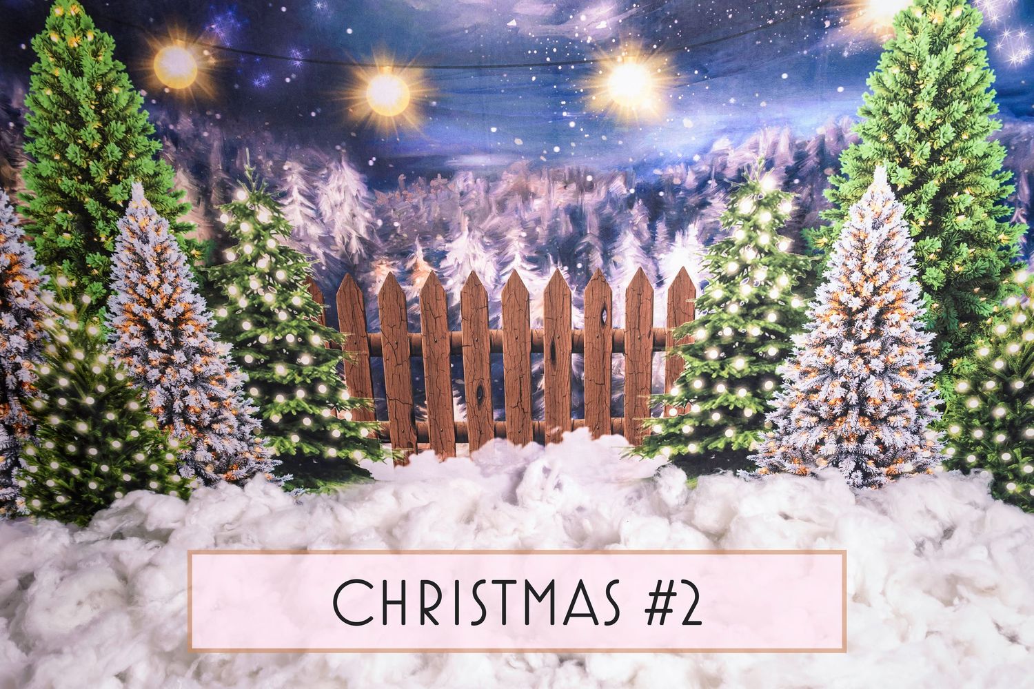 Christmas Trees Night Theme - Bear and Bunny Photography