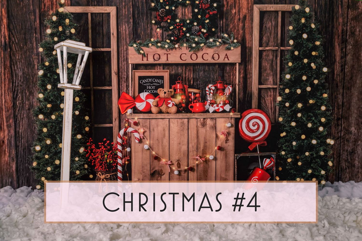 Christmas Hot Cocoa Theme - Bear and Bunny Photography
