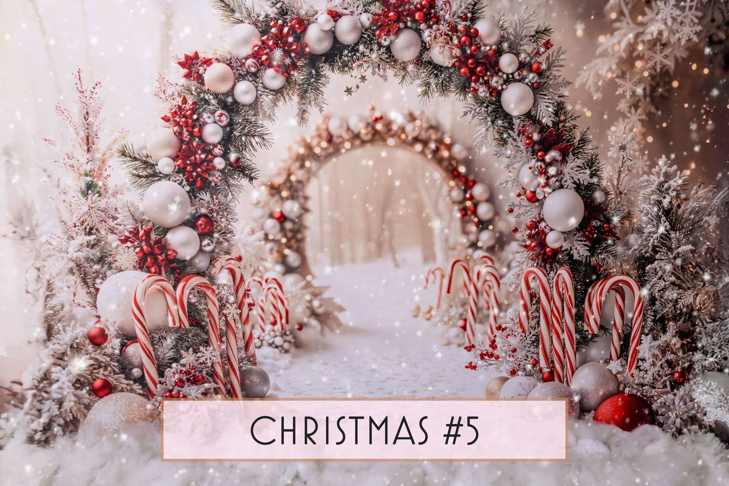 Christmas Candy Cane Lane Theme - Bear and Bunny Photography