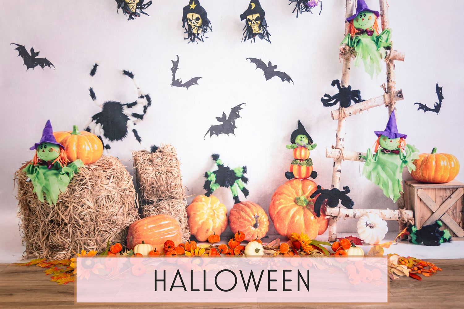 Halloween Theme - Bear and Bunny Photography