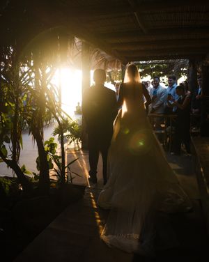 Silhouettes of a couple in wedding attire stand backlit by golden sunlight filtering through tropical foliage.
