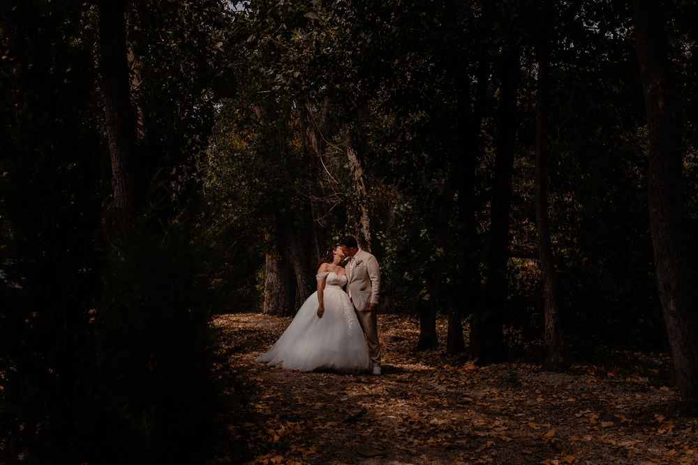 Romantic forest wedding photography with natural sunlight filtering through trees.