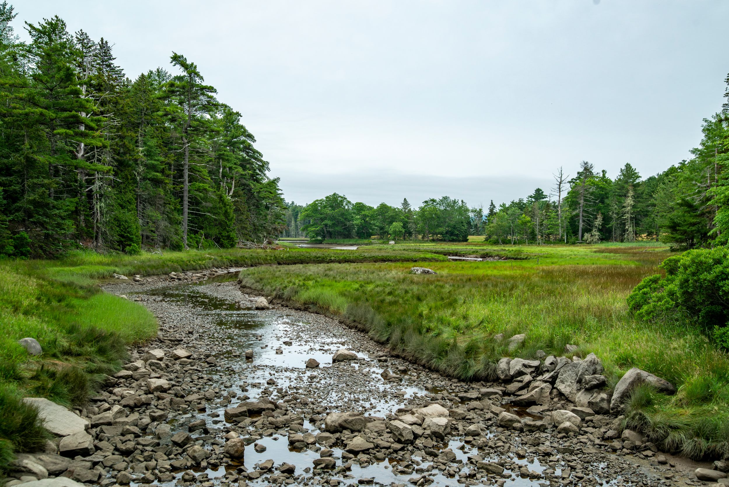 Kitteridge Brook