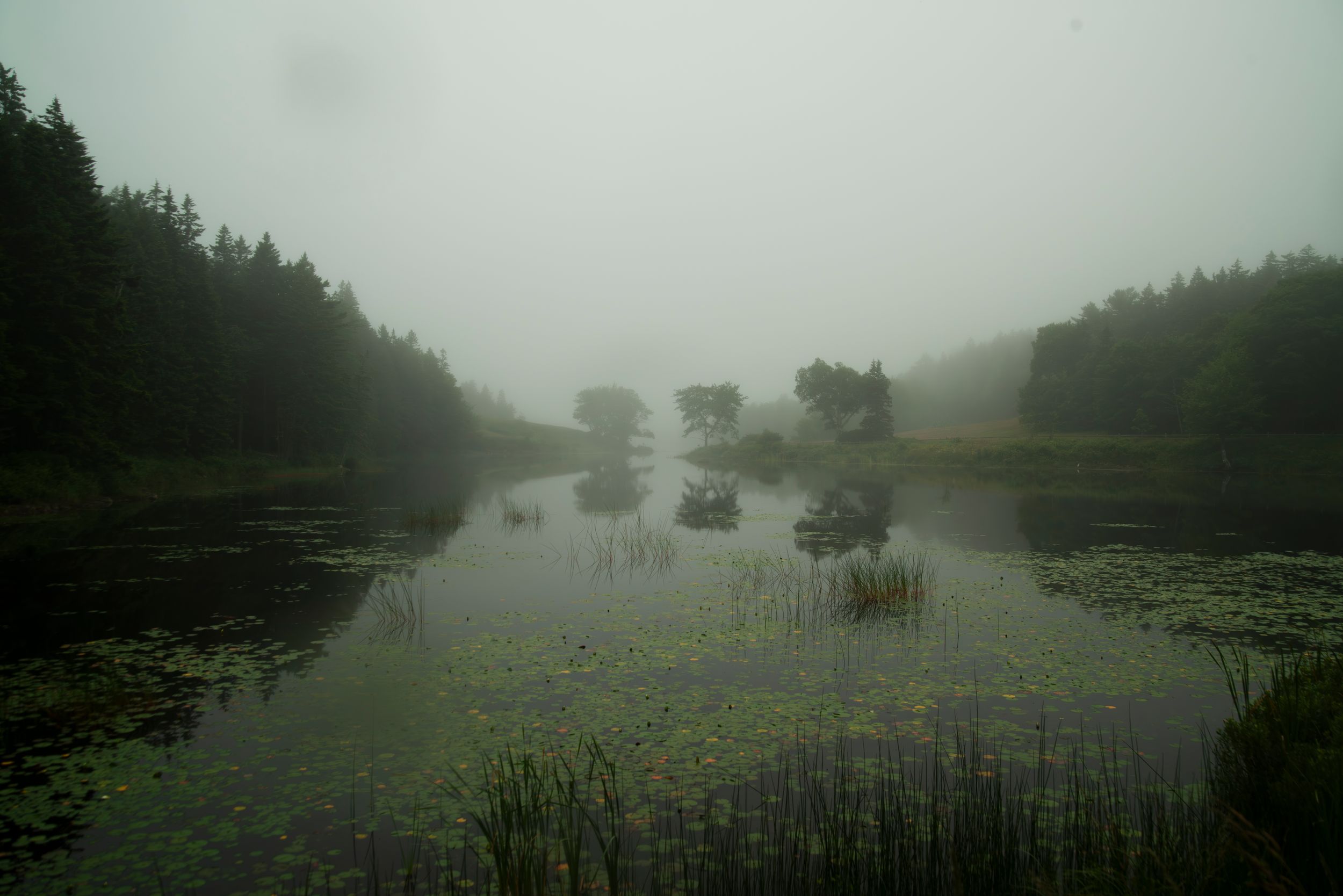 little long pond