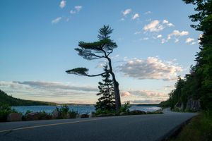 Sargent Drive