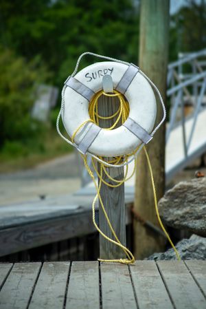 Surry Life Ring