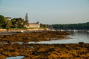Coastal Bar Harbor