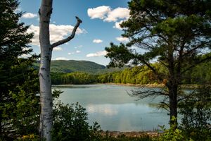 Coastal Maine