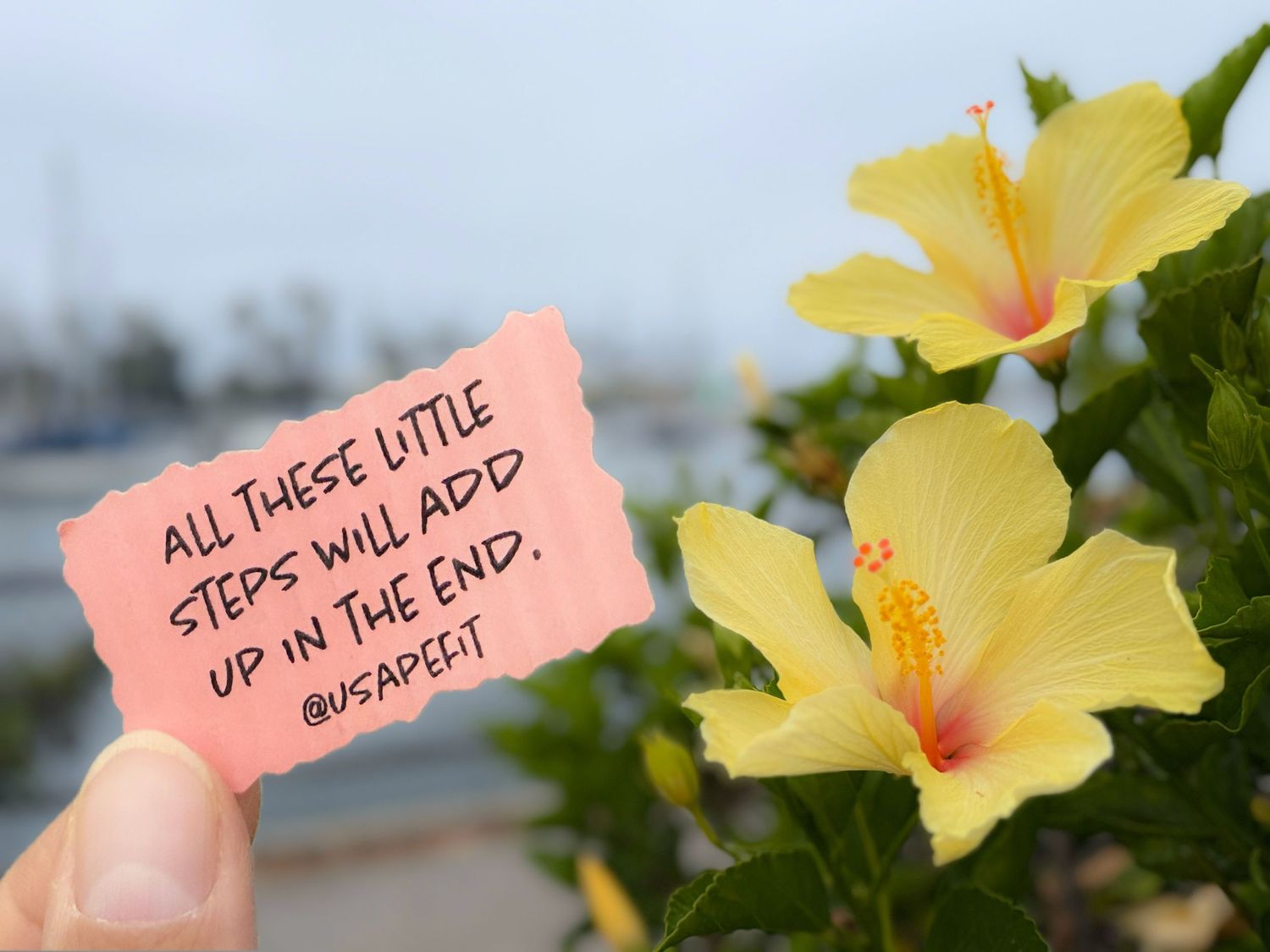 Yellow hibiscus flowers bloom alongside pink sticky notes with handwritten messages attached to their petals.