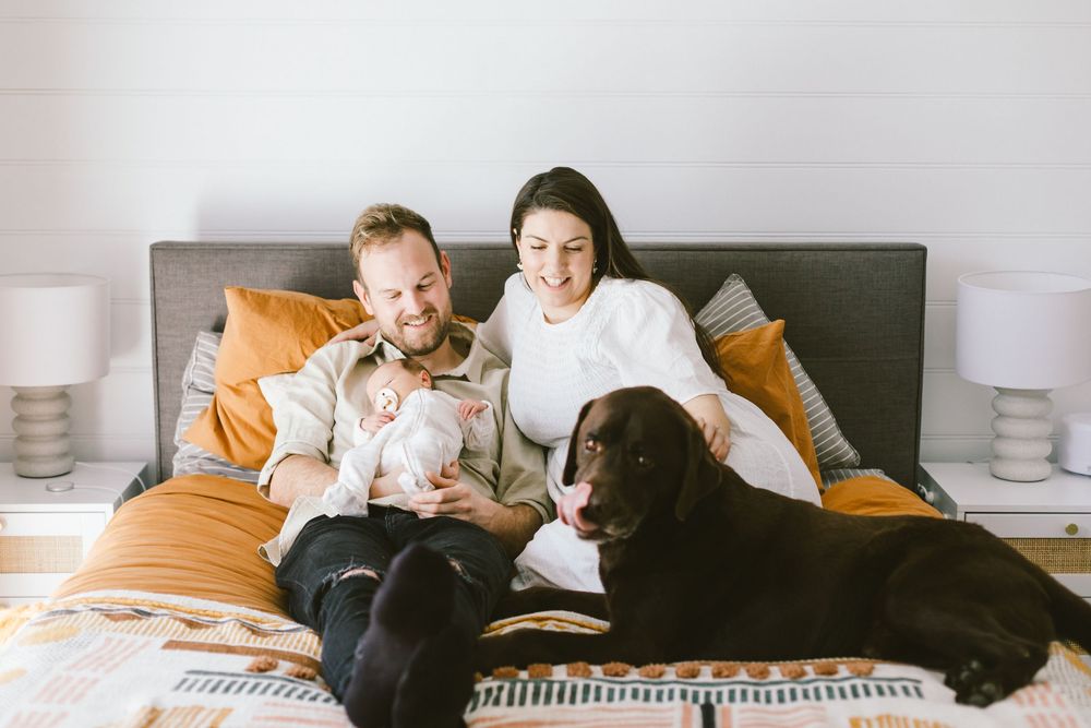 Happy family moment on bed with chocolate lab dog and orange accents.