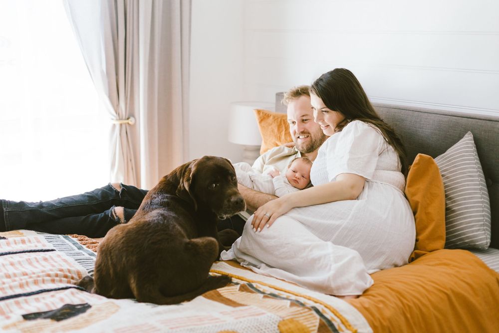 Family and chocolate lab dog sharing intimate moment on bed with orange decor.