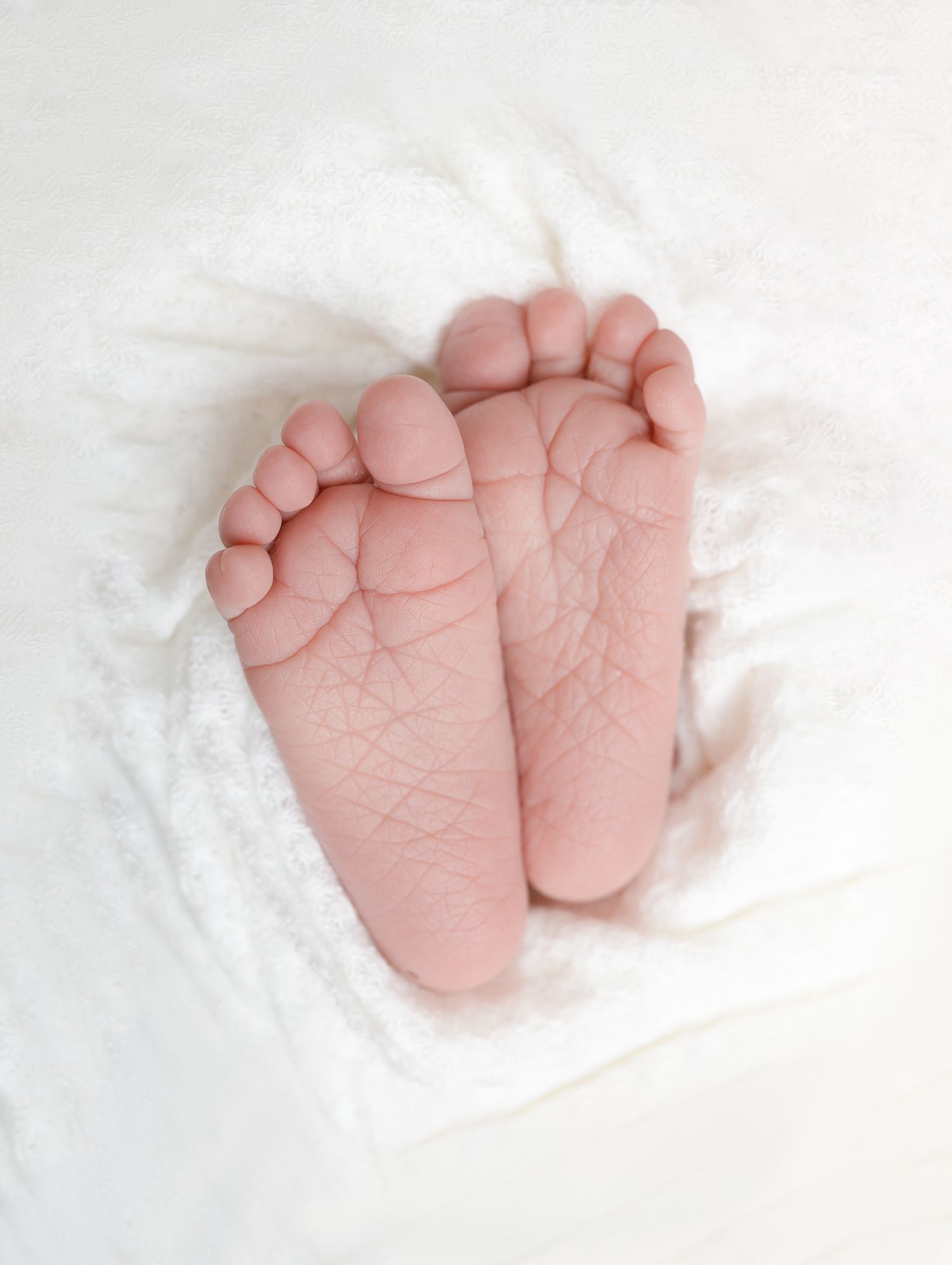 A series of four tiny newborn baby feet lined up in a row against a soft white textured background.