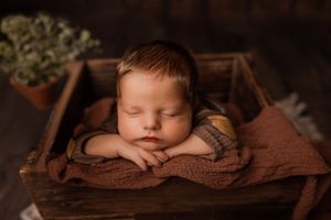 Peaceful newborn sleeping in rustic wooden box on brown blanket with greenery.