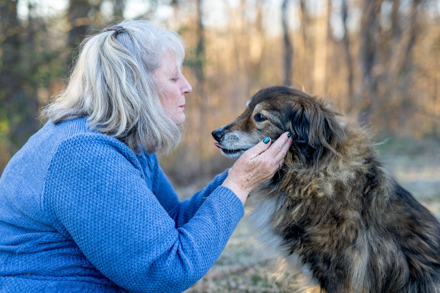 Outdoor end-of-life pet photo session of owner and dog in a grassy field at golden hour, capturing their emotional goodbye, Essex-County.