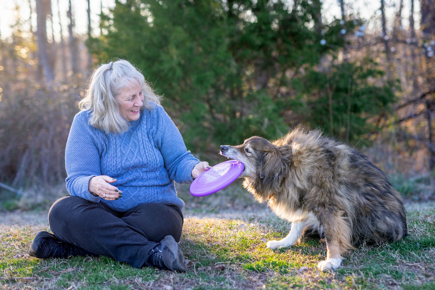 Owner kneeling in a grassy field, gently playing frisbee with her elderly dog in a touching farewell pet photo shoot, Amherstburg.