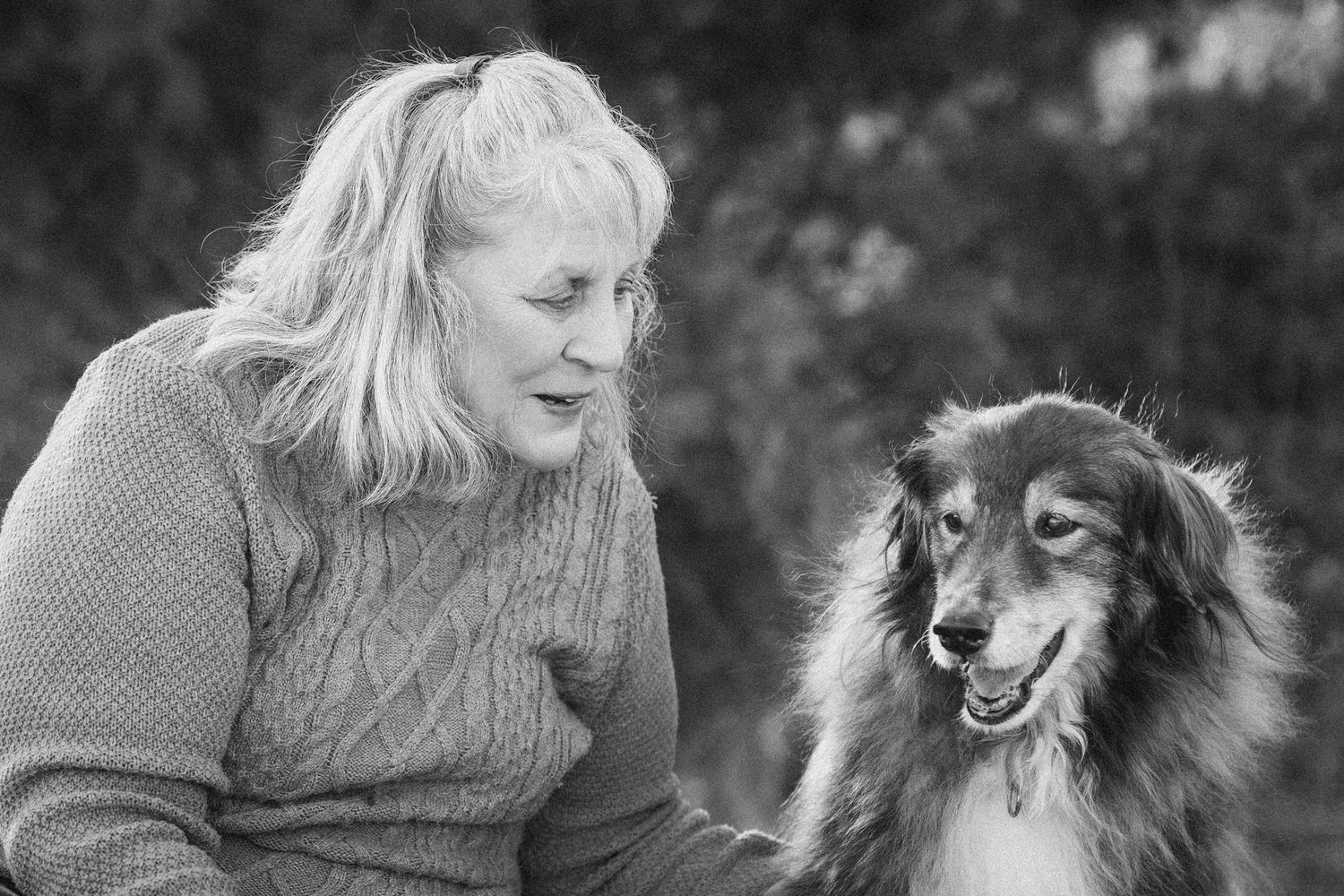 Emotional goodbye between pet and owner captured in a golden field during a meaningful end-of-life session.