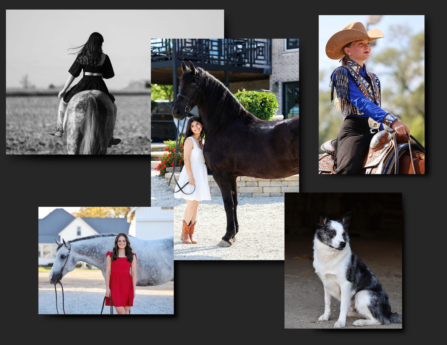 Equestrian and portrait photography capturing stunning, high-quality moments with creativity and precision. equine, cars, senior photos