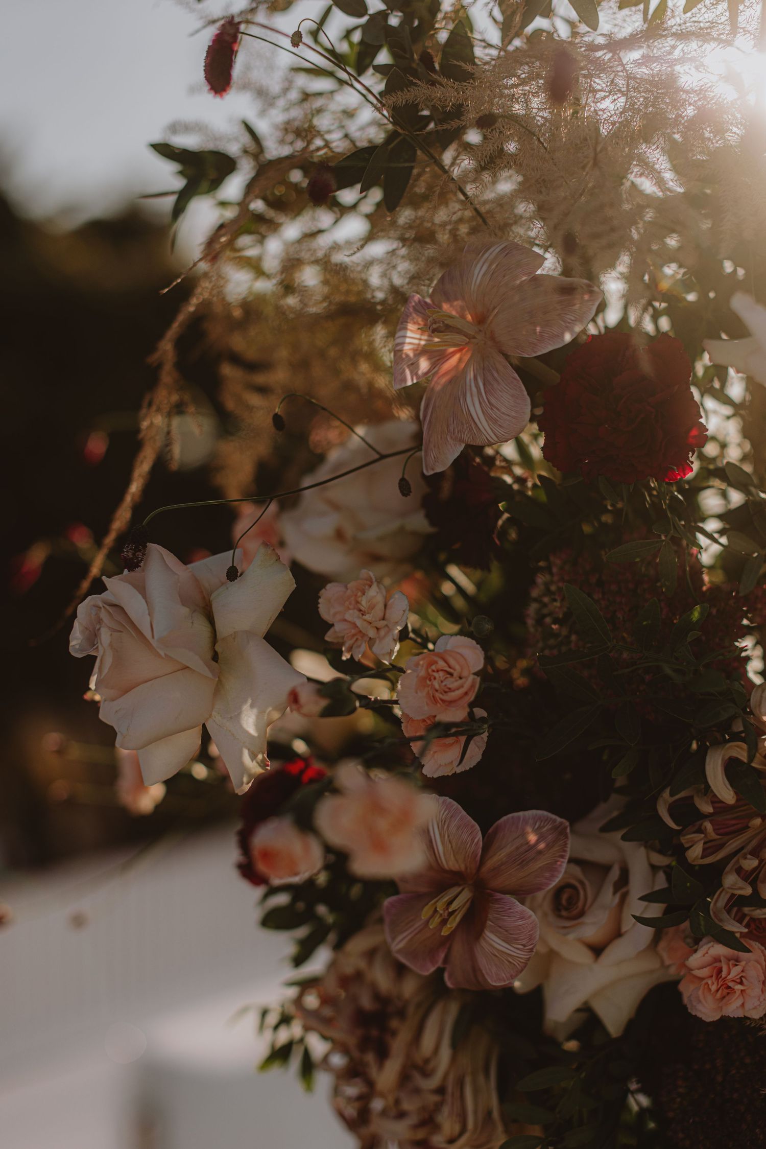 Delicate pink and white flowers backlit by golden sunlight create a romantic atmosphere.