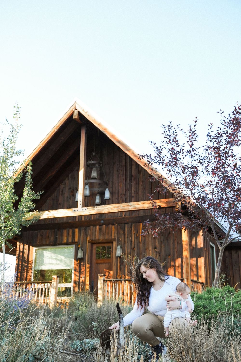A rustic wooden cabin surrounded by tall grass and trees in a natural outdoor setting.