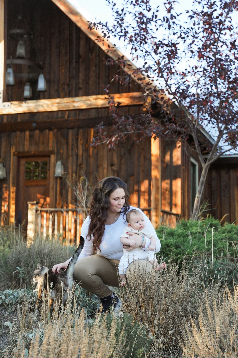 Rustic barn setting with tall grasses and autumn trees creating a warm natural backdrop.