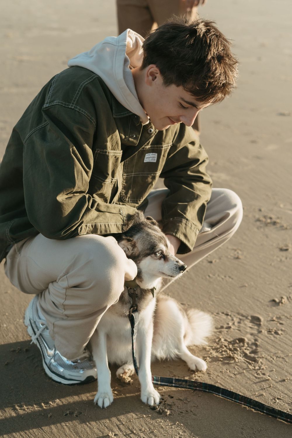 A series of photos showing someone petting a black and white dog on a sandy beach.