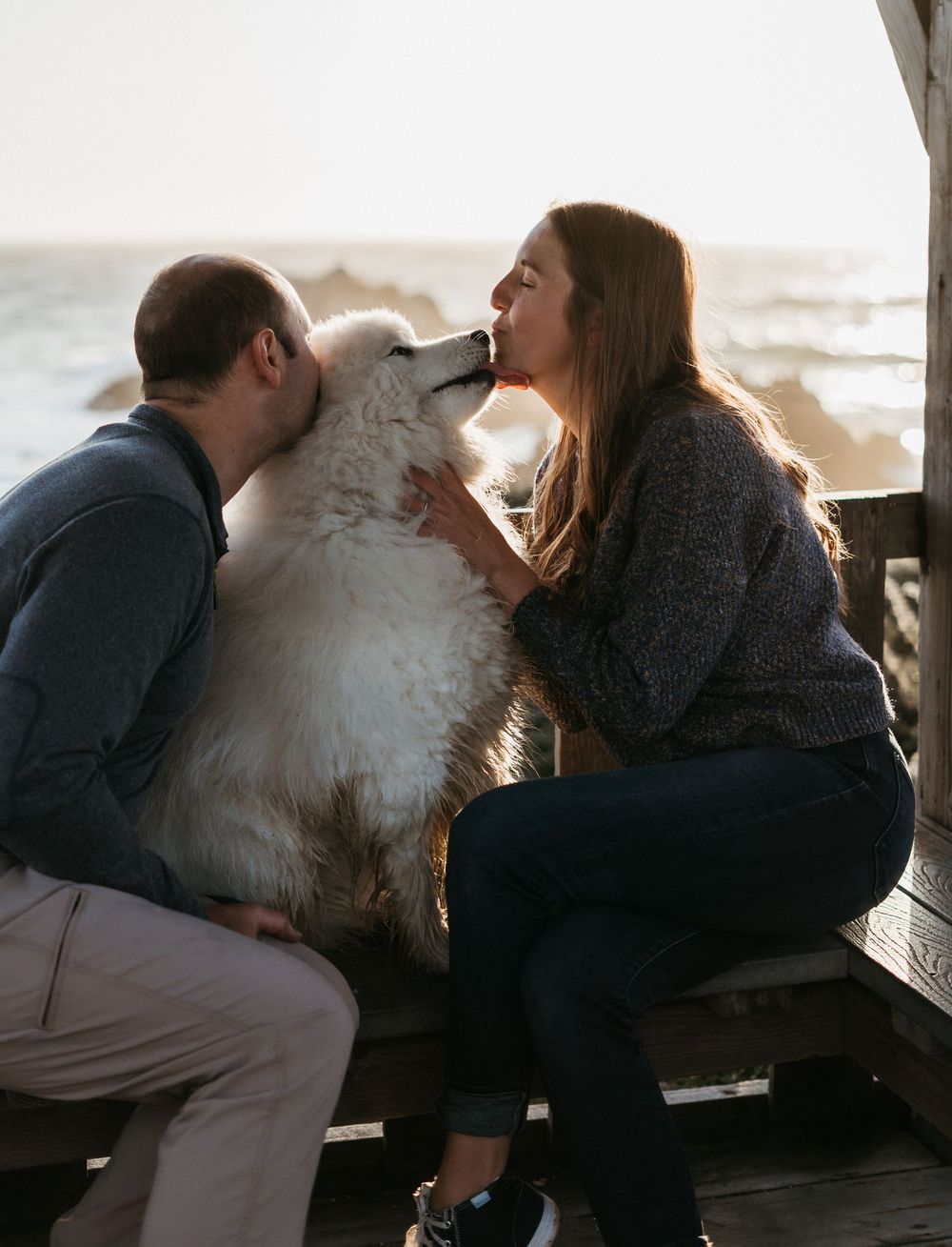 A couple shares a tender moment with their fluffy white dog against a sunset backdrop by the water.