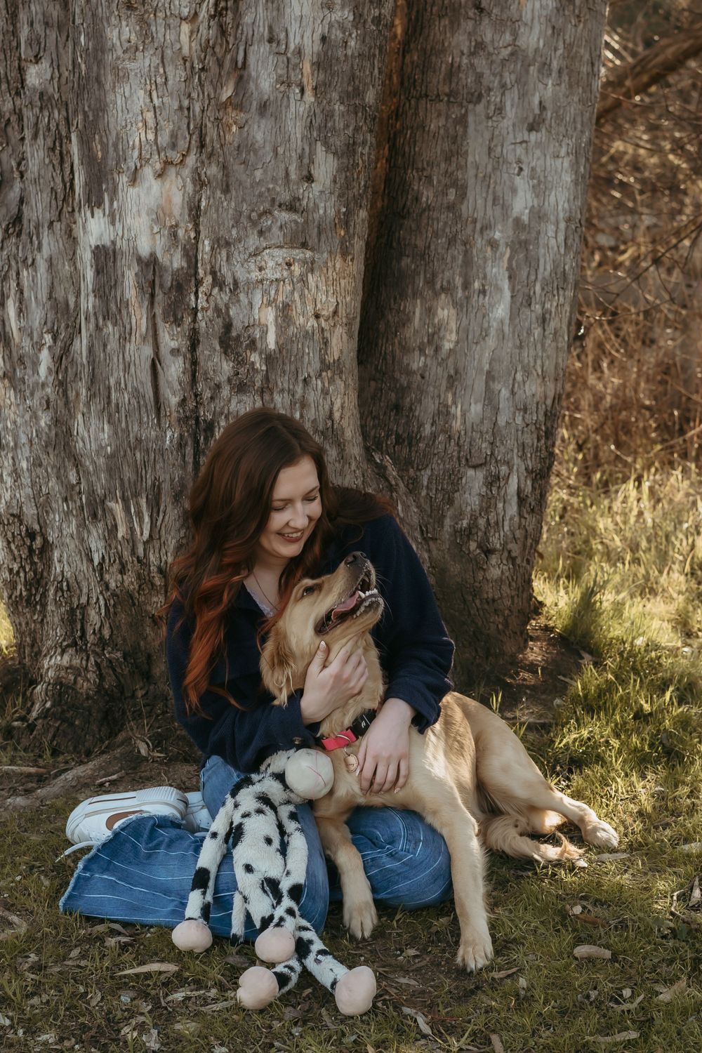 A dog sits with a stuffed animal dalmatian toy under a large tree trunk on a sunny afternoon.