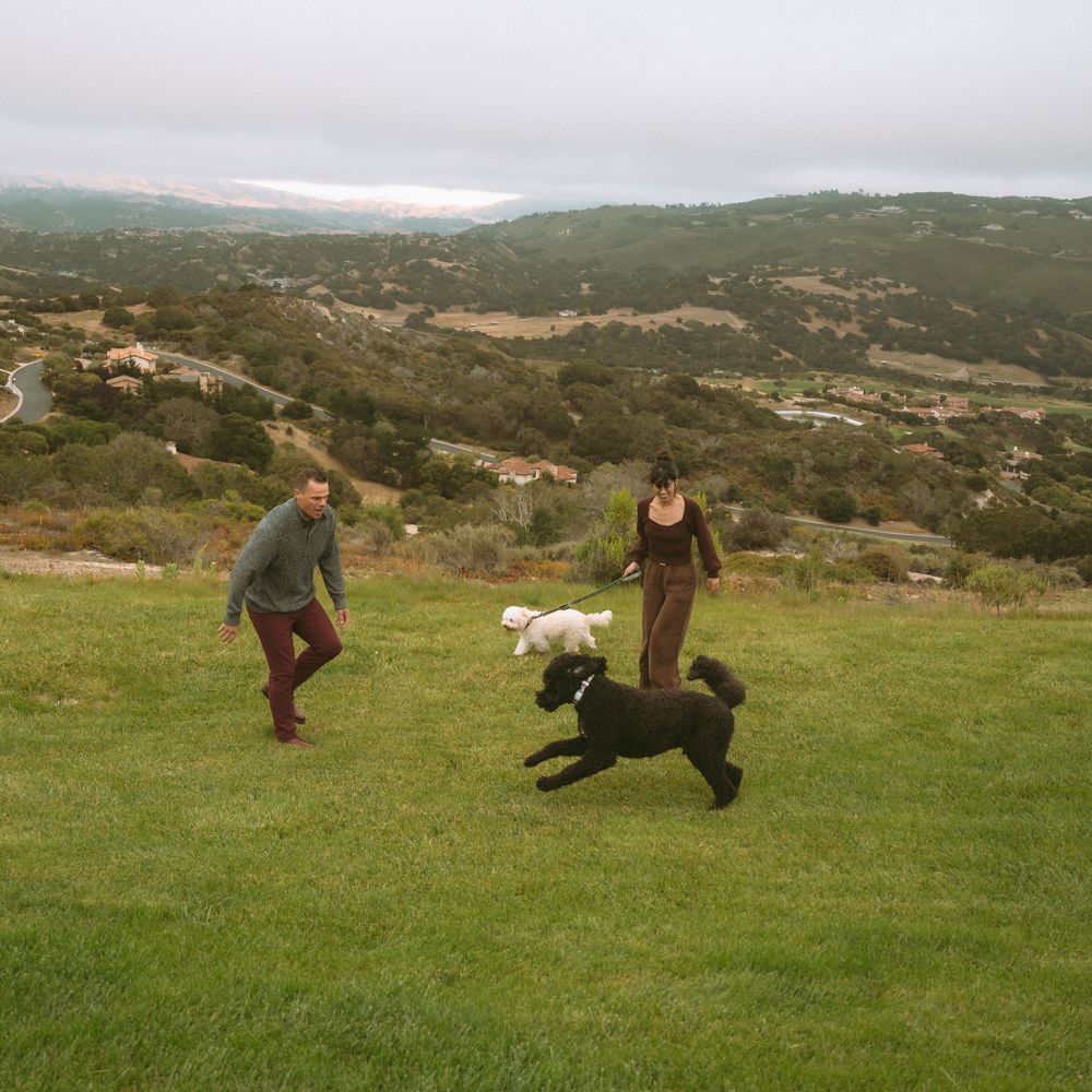 Two people playing with black and white poodles on a green hillside with scenic valley views.