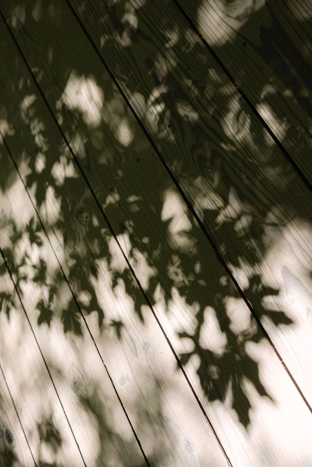 Shadow patterns of tree leaves cast on diagonal wooden planks create a moody monochromatic abstract composition.