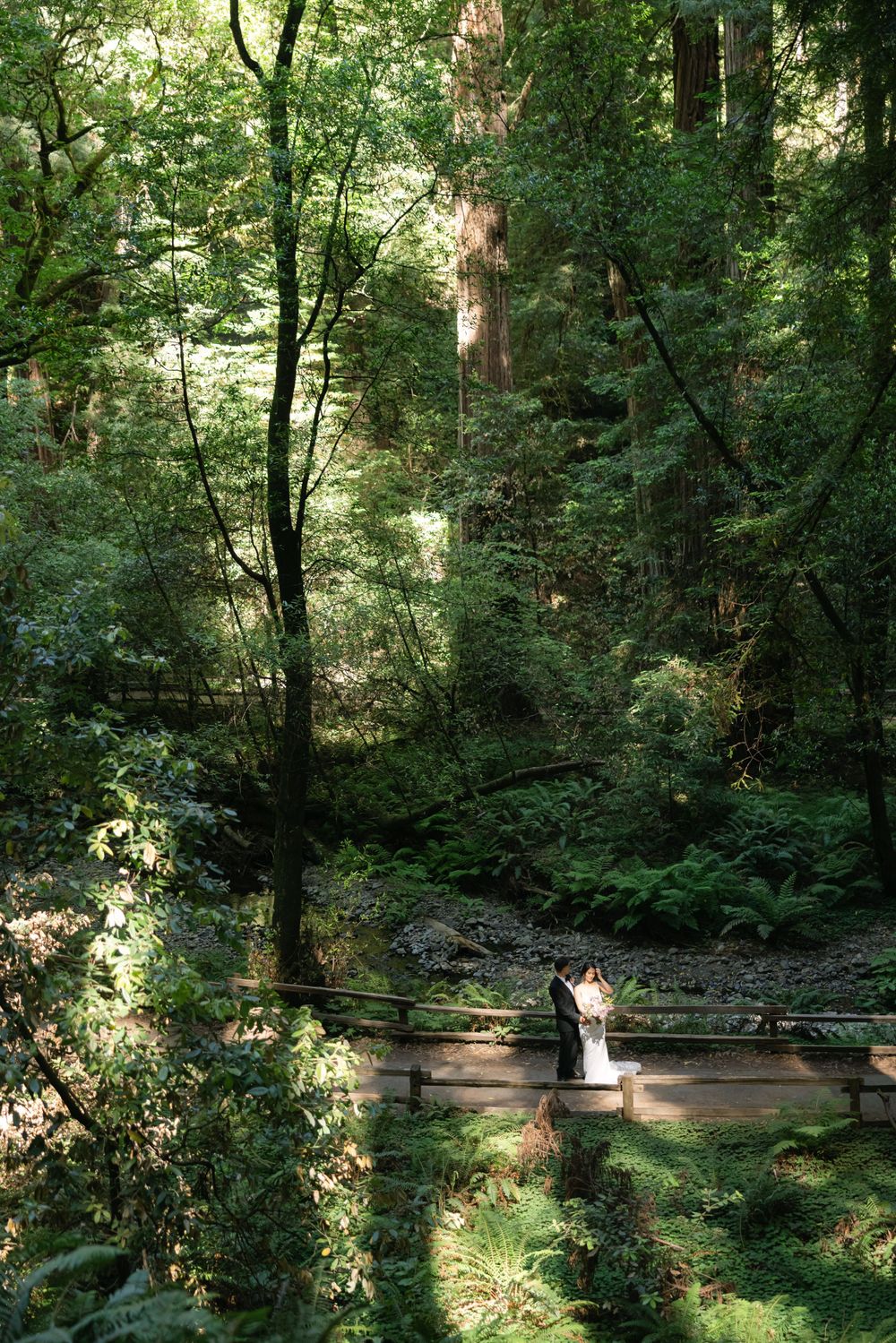 A serene forest walkway with dappled sunlight filtering through dense green foliage and a wooden bridge crossing a stream.