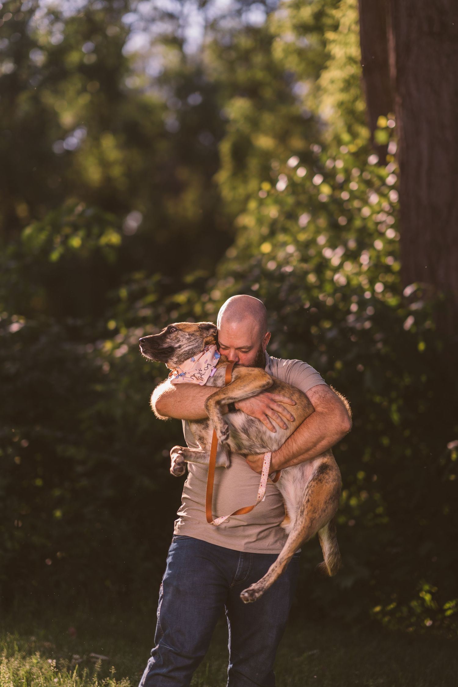 A person in a gray t-shirt lifts and hugs their happy brown dog in a park during golden hour.