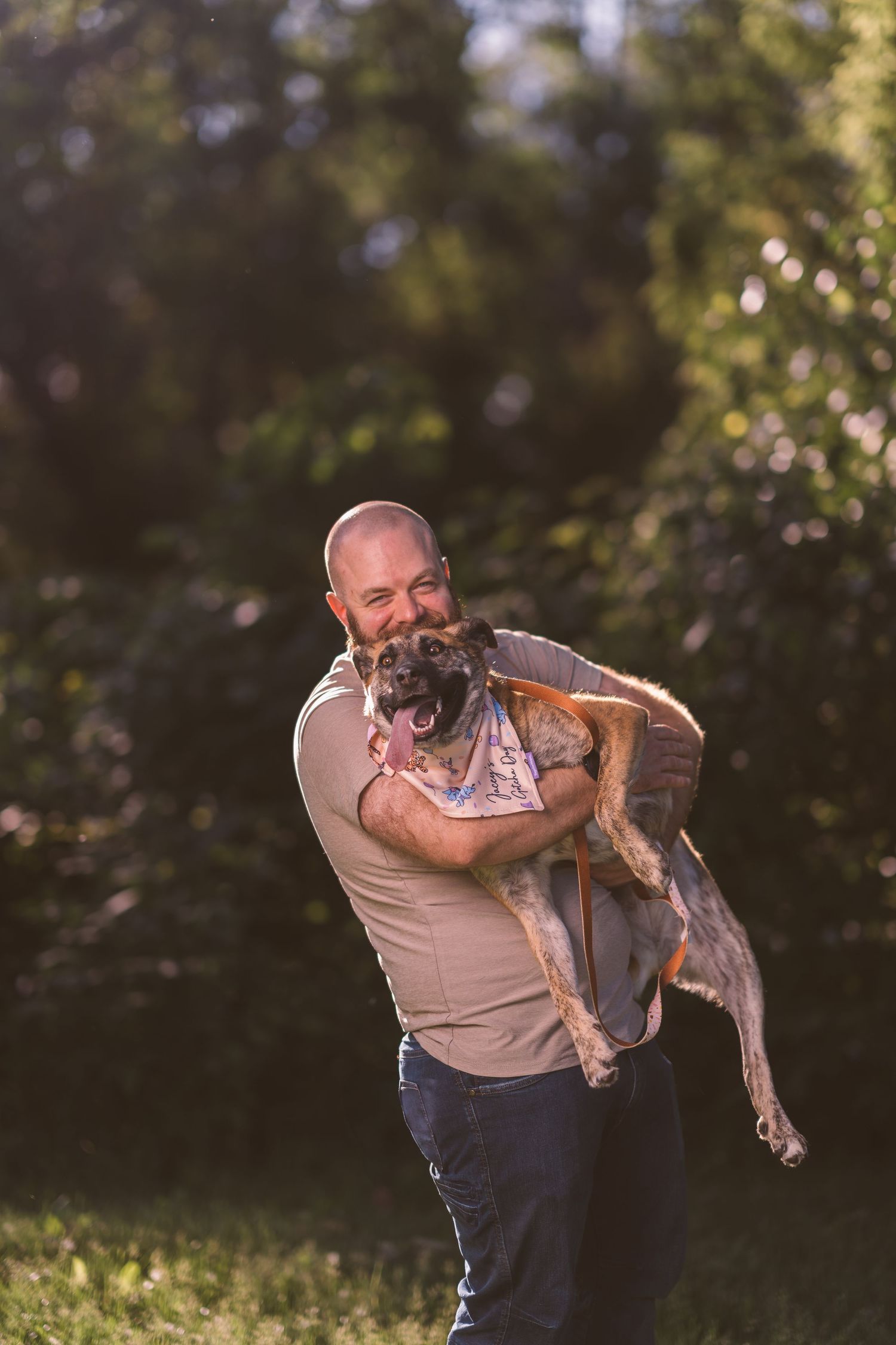 A person playfully holds their energetic dog in a natural outdoor setting during sunset.